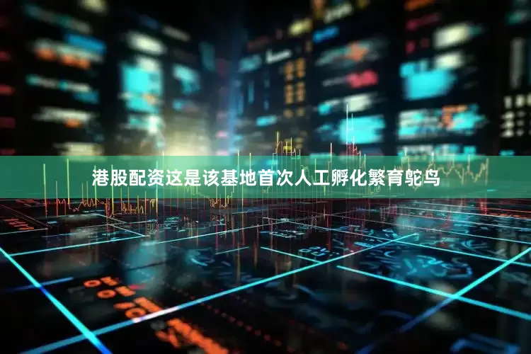 港股配资这是该基地首次人工孵化繁育鸵鸟