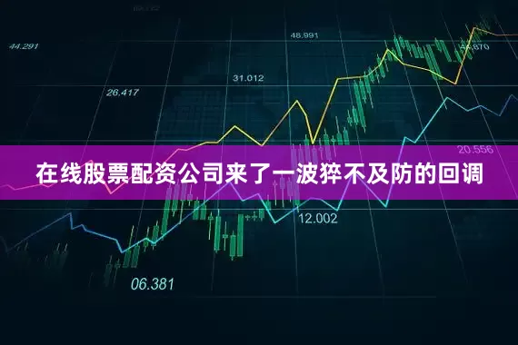在线股票配资公司来了一波猝不及防的回调