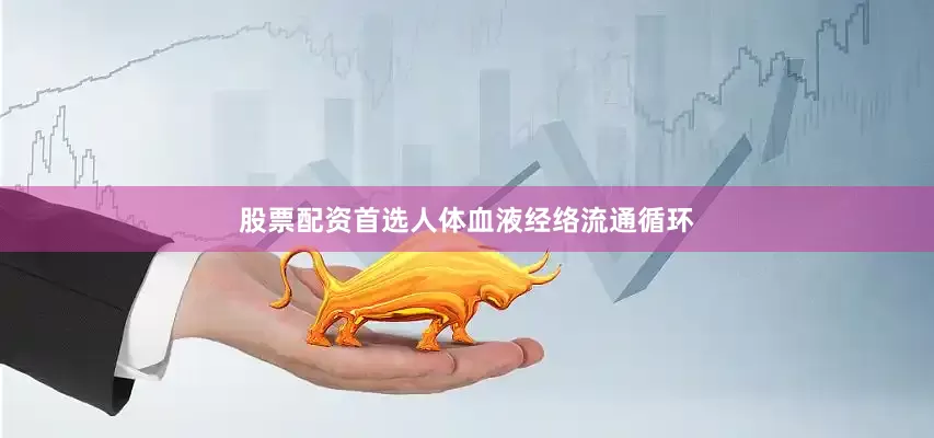 股票配资首选人体血液经络流通循环