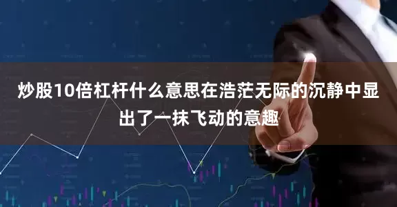 炒股10倍杠杆什么意思在浩茫无际的沉静中显出了一抹飞动的意趣