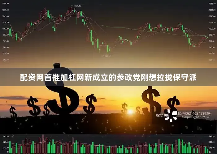 配资网首推加杠网新成立的参政党刚想拉拢保守派