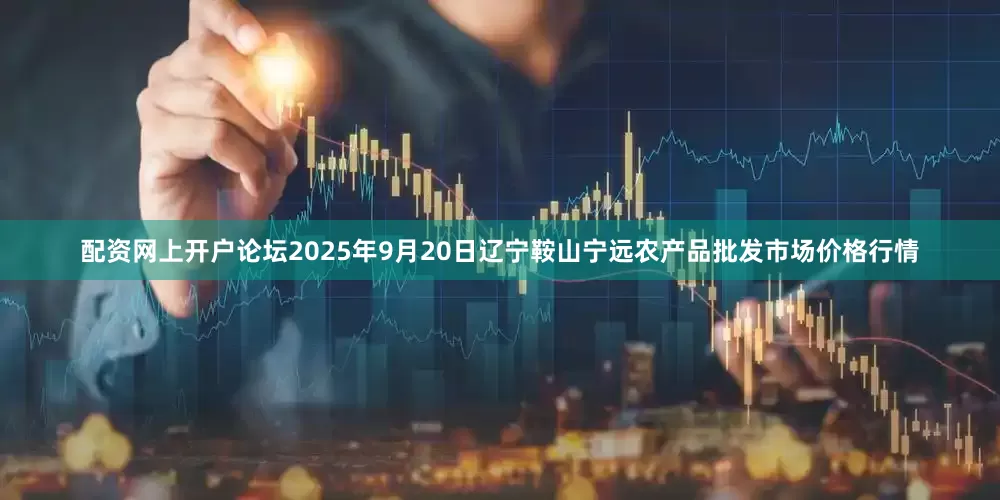 配资网上开户论坛2025年9月20日辽宁鞍山宁远农产品批发市场价格行情