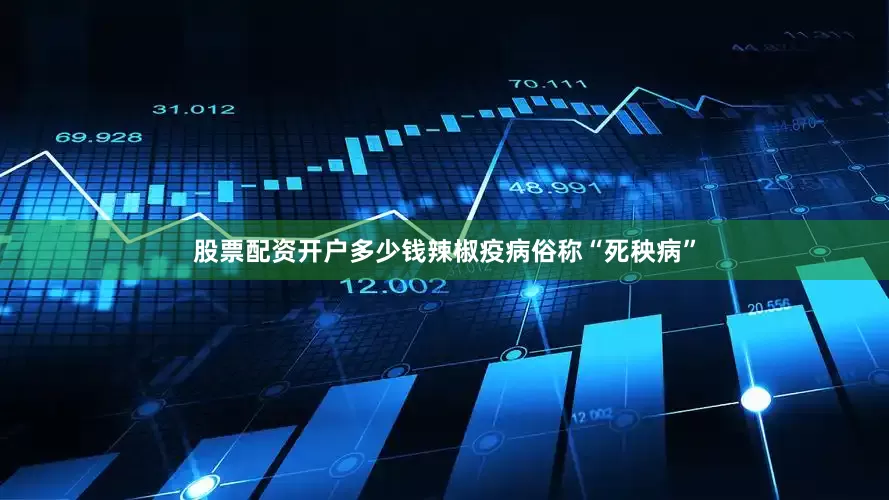 股票配资开户多少钱辣椒疫病俗称“死秧病”